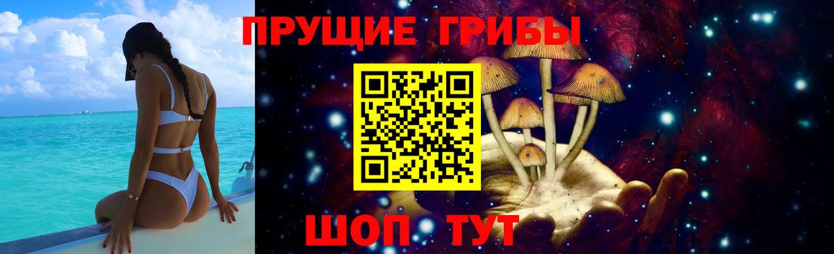 Галлюциногенные грибы GOLDEN TEACHER  Вход с VPN  Псилоцибиновые грибы мухоморы  Унеча 